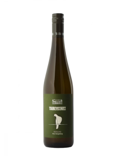 Riesling 2024 suché Ried Steigelberg Rakousko Weingut Taubenschuss Riesling 2024 suché Ried Steigelberg Rakousko Weingut Taubenschuss