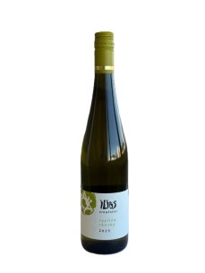 Ryzlink rýnský II. 2024 pozdní sběr suché Vinařství Ilias Ryzlink rýnský II. 2024 pozdní sběr suché Vinařství Ilias