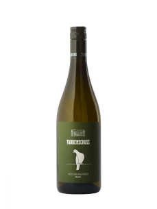 Weissburgunder 2021 suché Classic Ried Weisser Berg Rakousko Weingut Taubenschuss