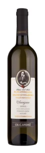 Sauvignon 2025 pozdní sběr suché Šlechtitelská stanice vinařská Velké Pavlovice Sauvignon 2025 pozdní sběr suché Šlechtitelská stanice vinařská Velké Pavlovice