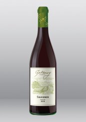 Sauvignon 2019 pozdní sběr suché Vinařství Gotberg