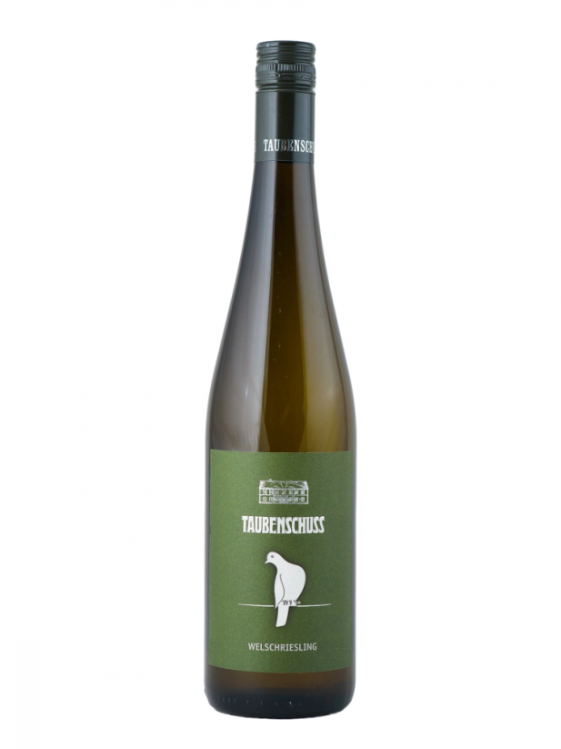 Welschriesling 2024 suché Rakousko Weingut Taubenschuss