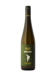 Gruner Sylvaner 2021 suché Ried Höbertsgrub Rakousko Weingut Taubenschuss