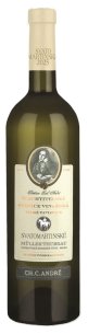 Muller Thurgau 2025 SVATOMARTINSKÉ moravské zemské víno suché Šlechtitelská stanice vinařská Velké Pavlovice Muller Thurgau 2025 SVATOMARTINSKÉ moravské zemské víno suché Šlechtitelská stanice vinařská Velké Pavlovice