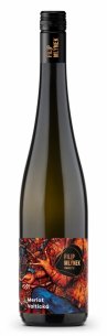 Merlot 2024 výběr z hroznů suché Plotny Vinařství Filip Mlýnek