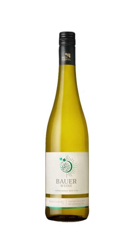 Gruner Veltliner Kellerselektion DAC Weinviertel 2022 suché Rakousko Weingut Norbert Bauer