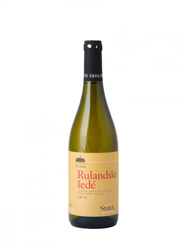 Rulandské šedé 2019 pozdní sběr polosuché Školní statek Mělník