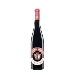 Cabernet Sauvignon 2021 pozdní sběr suché Pod Pálavou Vinařství Popela