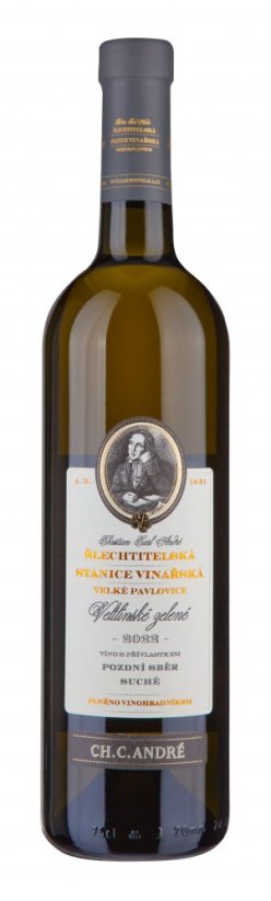 Veltlínské zelené 2024 pozdní sběr suché Šlechtitelská stanice vinařská Velké Pavlovice