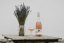 Levandulový Švihák na Váš stůl
