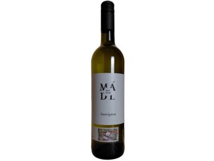 Sauvignon 2024 moravské zemské víno suché řada Clasic Vinařství Mádl Sauvignon 2024 moravské zemské víno suché řada Clasic Vinařství Mádl