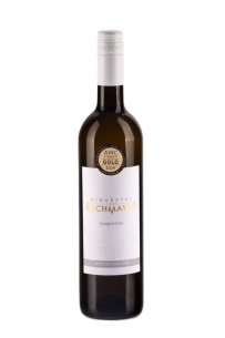 Sauvignon 2023 pozdní sběr suché Vinařství Buchmayer Sauvignon 2023 pozdní sběr suché Vinařství Buchmayer