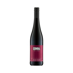 Domina 2022 suché Holznagel Německo Winzerhof Nagel Domina 2022 suché Holznagel Německo Winzerhof Nagel