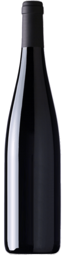 Petit Verdot 2022 moravské zemské víno suché Vinařství Glos