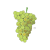 Sauvignon