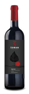 Merlot 2024 výběr z hroznů suché Vinařství Šoman