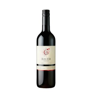 Zweigelt 2022 suché Ried Haugsdorfer Freiheit Rakousko Weingut Norbert Bauer Zweigelt 2022 suché Ried Haugsdorfer Freiheit Rakousko Weingut Norbert Bauer