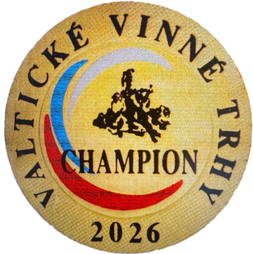 Šampion Valtické vinné trhy 2026