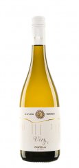 Cuvée VeRS 2019 pozdní sběr polosuché řada Cuvée Terroir Vinařství Popela